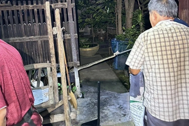 Gọi nhân viên cứu hộ đến nhà để sơ tán trăn khủng, 1 lát sau, chủ nhà bất ngờ chứng kiến cảnh đáng sợ- Ảnh 1.