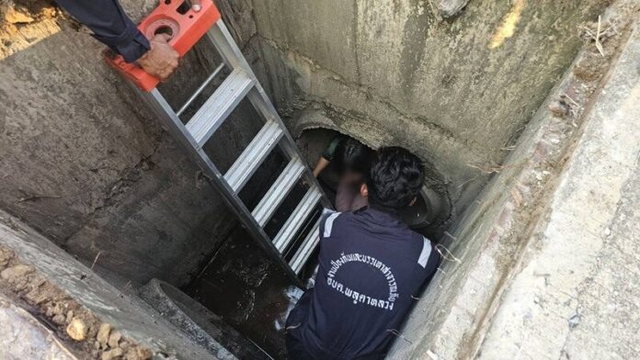 Nghe thấy tiếng kêu dưới cống thoát nước, người dân chạy đến nơi chứng kiến cảnh tượng không ngờ- Ảnh 2.