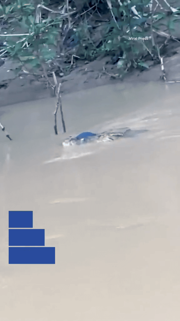 Người phụ nữ ra sông tắm rồi bỗng bị