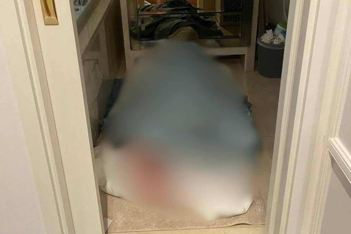 Thuê chung cư cùng bạn trai, cô gái có kết cục đau lòng- Ảnh 1.