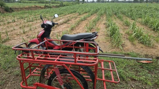 Không nghe lời khuyên của vợ, nhất quyết đi ra đồng lúc mưa gió, người đàn ông gặp cái kết bi thảm- Ảnh 1.