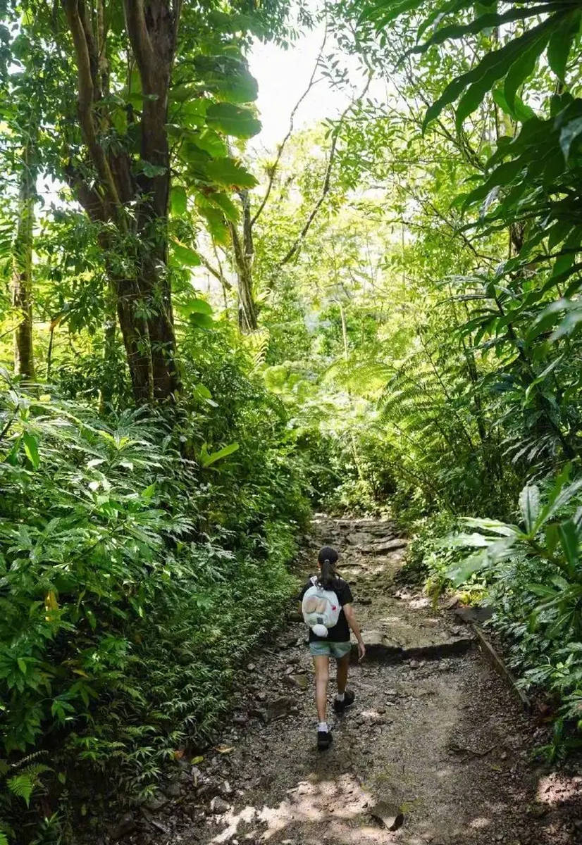 Tôn Lệ cùng chồng con trekking xuyên rừng: Hình ảnh giản dị mà ấm áp gây sốt mạng xã hội- Ảnh 5.