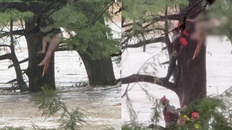 Cô gái bị lũ quét cuốn trôi 32km được tìm thấy trong tình cảnh gây sốc- Ảnh 1.