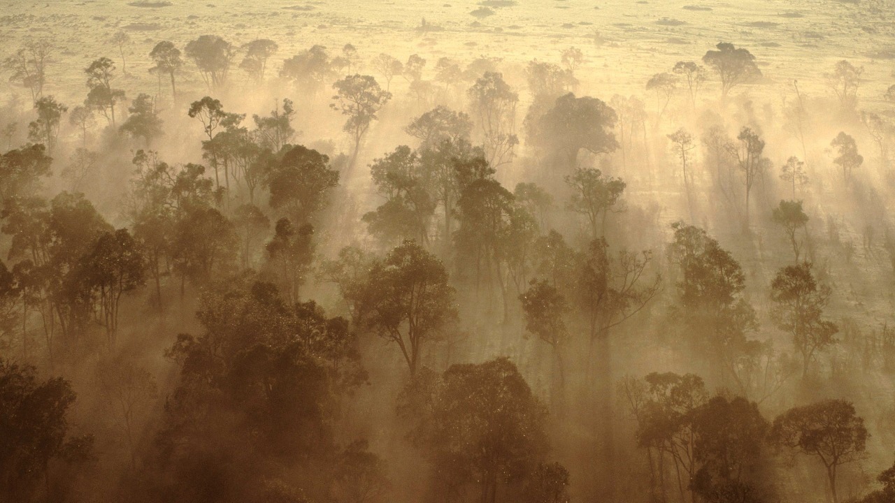 Rừng châu Phi chính thức đảo ngược: Từ lá phổi xanh thành nguồn phát thải carbon- Ảnh 3. Rừng châu Phi chính thức đảo ngược: Từ lá phổi xanh thành nguồn phát thải carbon- Ảnh 3.