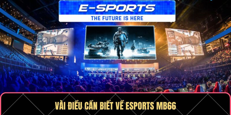Vài điều cần biết về Esports MB66