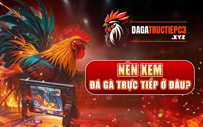 Nên xem đá gà trực tiếp ở đâu?