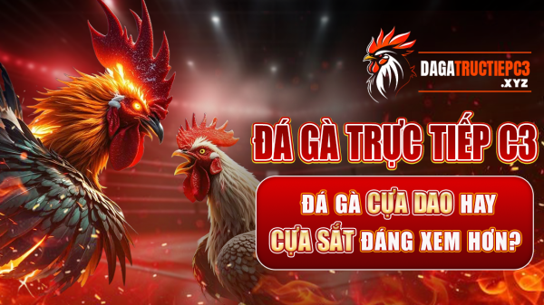 Đá gà trực tiếp C3 - Đá gà cựa dao hay cựa sắt đáng xem hơn? 27 Đá gà trực tiếp C3 - Đá gà cựa dao hay cựa sắt đáng xem hơn? ad 4nxdtkpuqen kb12s8bhi6mfpr0zf6gjcbdwkrm5yk dlmfzw3nmn9ij xygjybgyktwsupn2slhill2ut3qosgtnhwb4h0jt2yucuq4cs8yak1ie1pahixc5ia6w kzgknr hc7xaa