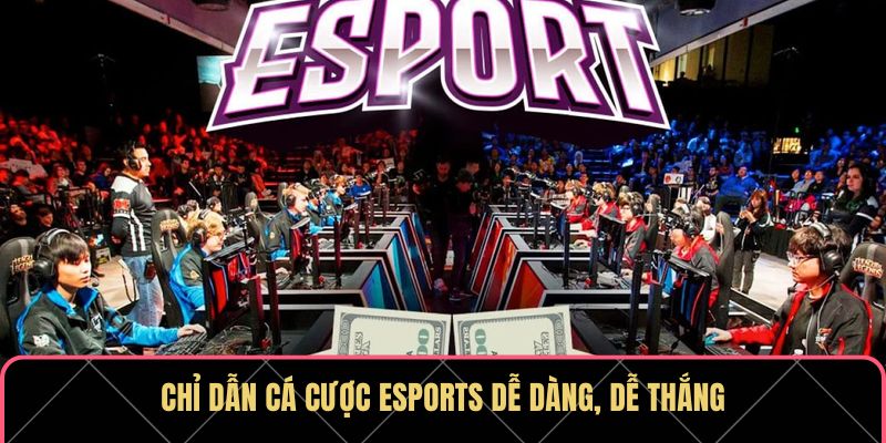 Chỉ dẫn cá cược Esports dễ dàng, dễ thắng