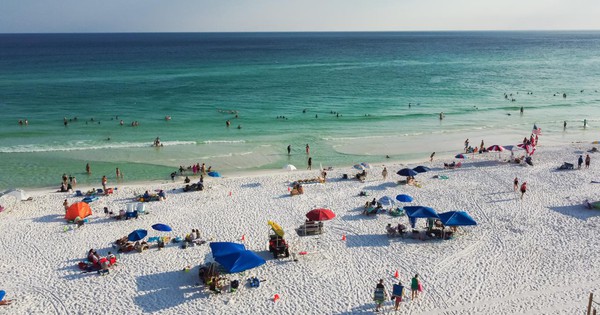 Các ca nhiễm vi khuẩn "ăn thịt người" đang gia tăng, 5 người mắc thì 1 người tử vong, chuyên gia cảnh báo khi đi biển ngày hè 28 Các ca nhiễm vi khuẩn "ăn thịt người" đang gia tăng, 5 người mắc thì 1 người tử vong, chuyên gia cảnh báo khi đi biển ngày hè adobestock656115308 17543759605191994873037 1754381058130 1754381058355108977214 0 95 864 1477 crop 1754381079757171743696jpg