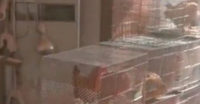 Chủ nhà đi vắng 2 năm, khách thuê làm một việc gây phẫn nộ adt1735798087 chu nha di vang 2 nam khach thue lam anh cat 3 2 auto cropjpg 1