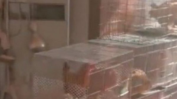 Chủ nhà đi vắng 2 năm, khách thuê làm một việc gây phẫn nộ 28 Chủ nhà đi vắng 2 năm, khách thuê làm một việc gây phẫn nộ adt1735798087 chu nha di vang 2 nam khach thue lam anh cat 3 2 auto cropjpg