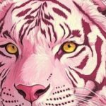 3 con giáp tỏa ra sự hấp dẫn khó cưỡng vì vừa có trí tuệ, vừa tinh tế lại vừa có tiền adt1735827173 con giap 170 2867 97 0 737 1024 crop anh cat 3 2 auto cropjpg