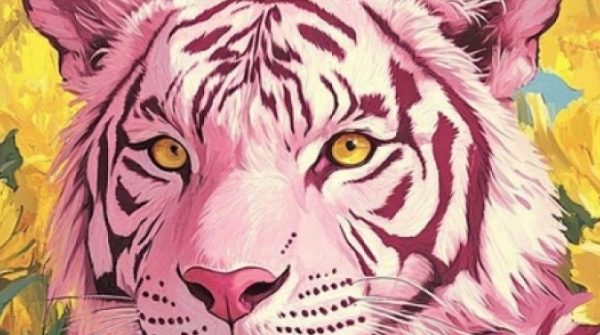 3 con giáp tỏa ra sự hấp dẫn khó cưỡng vì vừa có trí tuệ, vừa tinh tế lại vừa có tiền 27 3 con giáp tỏa ra sự hấp dẫn khó cưỡng vì vừa có trí tuệ, vừa tinh tế lại vừa có tiền adt1735827173 con giap 170 2867 97 0 737 1024 crop anh cat 3 2 auto cropjpg