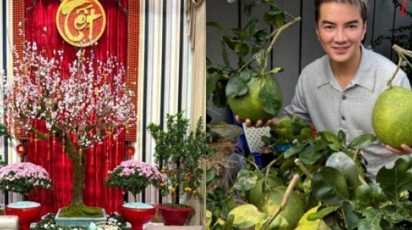 Biệt thự triệu USD của Đàm Vĩnh Hưng ngập tràn sắc xuân 29 Biệt thự triệu USD của Đàm Vĩnh Hưng ngập tràn sắc xuân adt1737939303 collage 5584 anh cat 3 2 auto cropjpg