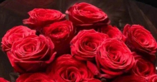 adt1739496558-hong-do-nhap-ngoa-8380-6387-anh-cat-3-2-auto-cropjpg-1 Ngày lễ tình nhân: Chọn quà xa xỉ hay cho đi? adt1739496558 hong do nhap ngoa 8380 6387 anh cat 3 2 auto cropjpg 1