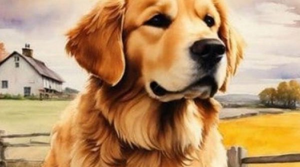 Những con giáp nam giỏi giang, chu đáo, xứng đáng là bờ vai tin cậy 26 Những con giáp nam giỏi giang, chu đáo, xứng đáng là bờ vai tin cậy adt1740207722 con giap2 4736 87 0 440 564 crop 411 anh cat 3 2 auto cropjpg