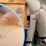 Sự thật video nữ y tá quỳ xin lỗi bệnh nhân thu hút 100 triệu lượt xem adt1740797543 su that video nu y ta quy xin loi be anh cat 3 2 auto cropjpg