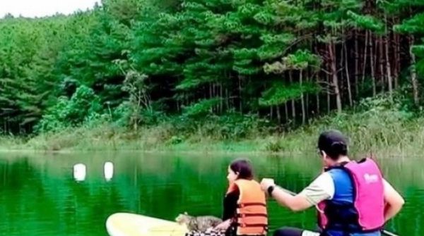 Ông bố ‘chạy’ về vùng ven, thoát cảnh nợ nần mua nhà ở TPHCM 26 Ông bố ‘chạy’ về vùng ven, thoát cảnh nợ nần mua nhà ở TPHCM adt1742258467 ong bo chay ve vung ven thoat canh n anh cat 3 2 auto cropjpg