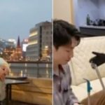 Chàng trai chi 35 triệu đồng thuê robot vừa làm người yêu, vừa giúp việc nhà adt1742628568 chang trai chi 35 trieu dong thue ro anh cat 3 2 auto cropjpg