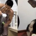 Chàng trai nuôi nghé trong nhà, chăm sóc như thú cưng adt1743815207 chang trai nuoi nghe trong nha cham anh cat 3 2 auto cropjpg