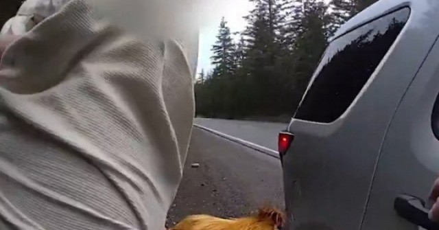 Người đàn ông bị bắt vì đột nhập vào nhà, ăn trộm gà của bạn gái cũ adt1743995431 nguoi dan ong bi bat vi dot nhap vao anh cat 3 2 auto cropjpg 1