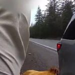 Người đàn ông bị bắt vì đột nhập vào nhà, ăn trộm gà của bạn gái cũ adt1743995431 nguoi dan ong bi bat vi dot nhap vao anh cat 3 2 auto cropjpg