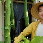 Chàng trai biến sân thượng ở TPHCM thành 'vườn chữa lành' sum sê adt1744127207 kien truc su tre o tphcm bien san th anh cat 3 2 auto cropjpg