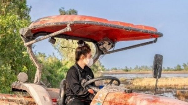 Cô gái Kiên Giang miệt mài lái máy cày: Chỉ mong cha mẹ được sung sướng adt1744331890 co gai o kien giang lai may cay cuc anh cat 3 2 auto cropjpg