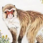 4 con giáp tới thời, giàu lên nhanh chóng trong 3 năm tới adt1746348695 4396 110 thumbnail auto crop 750x563 anh cat 3 2 auto cropjpg