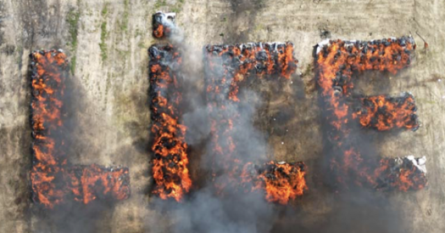 Cả thị trấn say thuốc vì cảnh sát tiêu hủy cần sa adt1746685495 anh man hinh 2025 05 08 luc 09 4077 anh cat 3 2 auto croppng 1