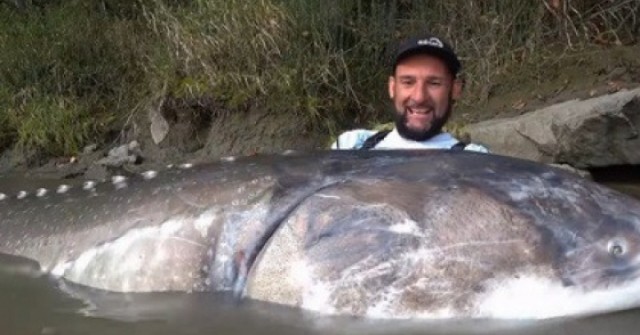 Cần thủ câu được con cá tầm khổng lồ nặng 258kg, dài 3,35m trên sông adt1746867481 ca khong lo 2746 0 0 447 854 crop 42 anh cat 3 2 auto cropjpg 1