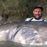 Cần thủ câu được con cá tầm khổng lồ nặng 258kg, dài 3,35m trên sông adt1746867481 ca khong lo 2746 0 0 447 854 crop 42 anh cat 3 2 auto cropjpg