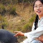 Cô gái bỏ việc văn phòng về quê nuôi lợn adt1747790214 sun shuangshuang 8932 3848 anh cat 3 2 auto cropjpeg