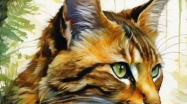 4 con giáp không theo đuổi giàu sang, danh vọng nên cuộc sống an nhàn, hạnh phúc adt1747899957 con giap4 4760 28 0 391 580 crop 569 anh cat 3 2 auto cropjpg