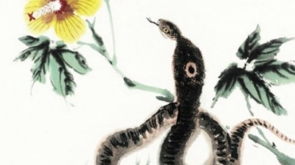 4 con giáp đổi vận phất lên, giàu có đáng nể trong 3 năm tới adt1751617658 6318 406 thumbnail auto crop 750x563 anh cat 3 2 auto cropjpg