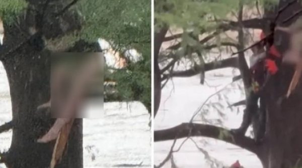 Bám vào cây để sống sót sau khi bị lũ cuốn trôi 32 km adt1751855432 anht 1835 9671 2042 anh cat 3 2 auto cropjpg