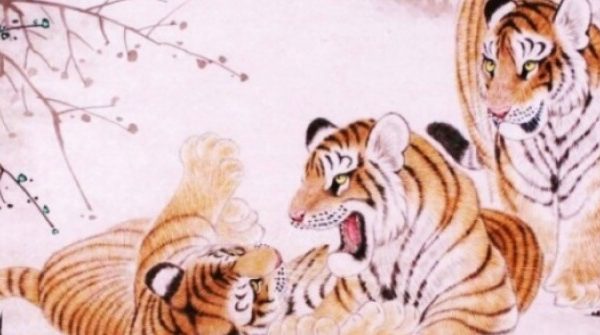 4 con giáp trời sinh thông minh, quý nhân và cơ hội bùng nổ trong mùa thu tới adt1753575374 5244 566 thumbnail auto crop 750x563 anh cat 3 2 auto cropjpg