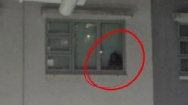 Nhìn lên cửa sổ, cả gia đình chứng kiến cảnh tượng nổi da gà adt1753769646 nhin len cua so ca gia dinh chung ki anh cat 3 2 auto cropjpg