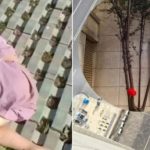 Bé 3 tuổi rơi từ tầng 18, sống sót nhờ cây đỡ adt1754104414 top3tuoi1 3392 6718 3700 anh cat 3 2 auto cropjpg