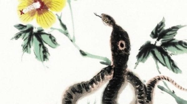 4 con giáp rất giỏi quản lý tiền bạc, hậu vận giàu sang bất chấp xuất phát điểm adt1754708556 7754 733 thumbnail auto crop 750x563 anh cat 3 2 auto cropjpg