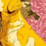 Các con giáp hay than thở, dễ rơi vào vòng xoáy bất mãn trong cuộc sống adt1758008034 con giap 4 0365 89 0 729 1024 crop 4 anh cat 3 2 auto cropjpg