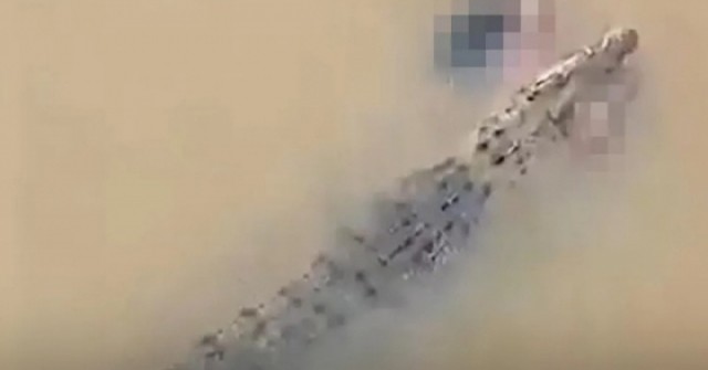 Người phụ nữ bị cá sấu lôi xuống sông khi đang tắm adt1759931670 casautancong 7124 1696 4023 anh cat 3 2 auto cropjpg 1