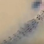 Người phụ nữ bị cá sấu lôi xuống sông khi đang tắm adt1759931670 casautancong 7124 1696 4023 anh cat 3 2 auto cropjpg