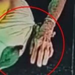 Đang nằm trên giường, cụ bà 93 tuổi bất ngờ bị rắn hổ mang cắn vào tay adt1760447663 dang nam tren giuong cu ba 93 tuoi b anh cat 3 2 auto cropjpg