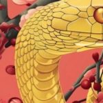 Con giáp xuất sắc từ đầu đến chân: Vừa tài giỏi vừa khí chất adt1760708256 con giap 5 43636 107 0 532 680 crop anh cat 3 2 auto cropjpg