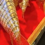 Mang số vàng giữ suốt 18 năm đi kiểm tra, người đàn ông sốc nặng khi biết giá trị adt1760749408 mang so vang giu suot 18 nam di kiem anh cat 3 2 auto cropjpg