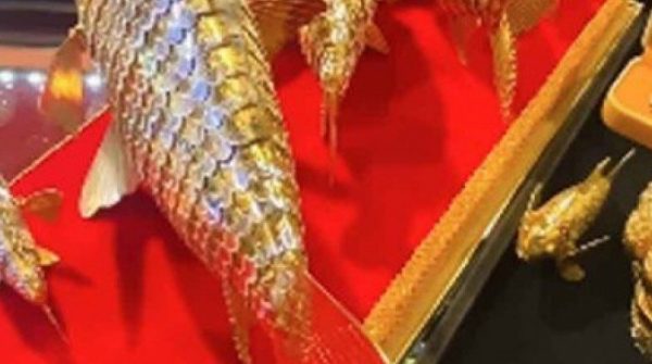 Mang số vàng giữ suốt 18 năm đi kiểm tra, người đàn ông sốc nặng khi biết giá trị 27 Mang số vàng giữ suốt 18 năm đi kiểm tra, người đàn ông sốc nặng khi biết giá trị adt1760749408 mang so vang giu suot 18 nam di kiem anh cat 3 2 auto cropjpg