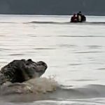 Du khách kinh hãi khi thấy thứ đáng sợ nổi lên từ dưới nước adt1762308990 01 3710 0 0 671 1280 crop 1510 anh cat 3 2 auto cropjpg