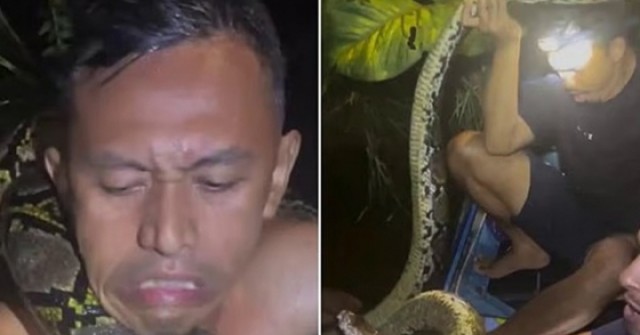 Hướng dẫn viên du lịch bị trăn dài 6 m siết cổ adt1762475390 trangquan 6460 4722 6610 anh cat 3 2 auto cropjpg 1