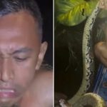 Hướng dẫn viên du lịch bị trăn dài 6 m siết cổ adt1762475390 trangquan 6460 4722 6610 anh cat 3 2 auto cropjpg